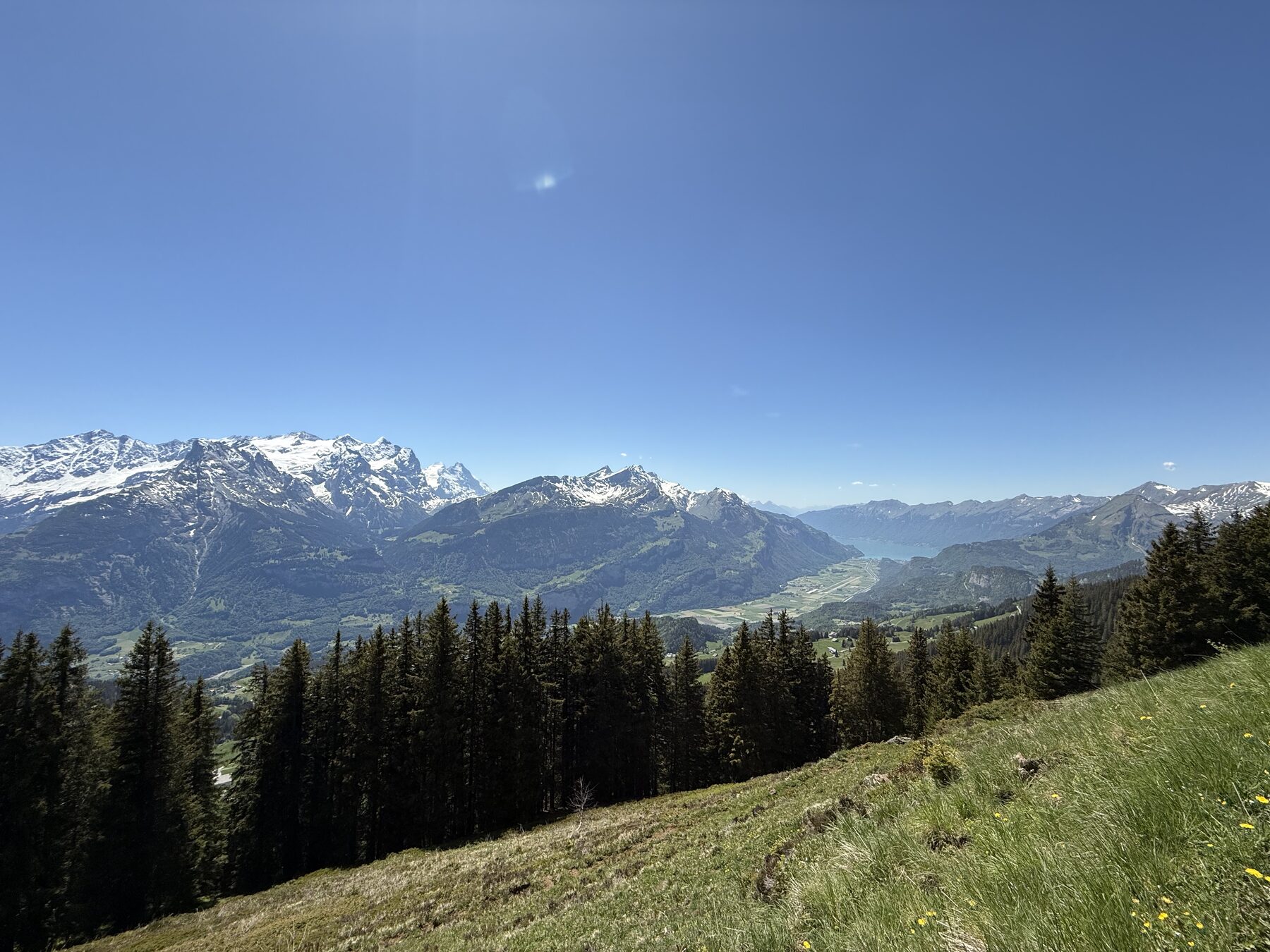 Blick auf ein Tal mit Fluss, grünen Hängen, Nadelwald am Hangrand und schneebedeckten Gipfeln unter klarem Himmel