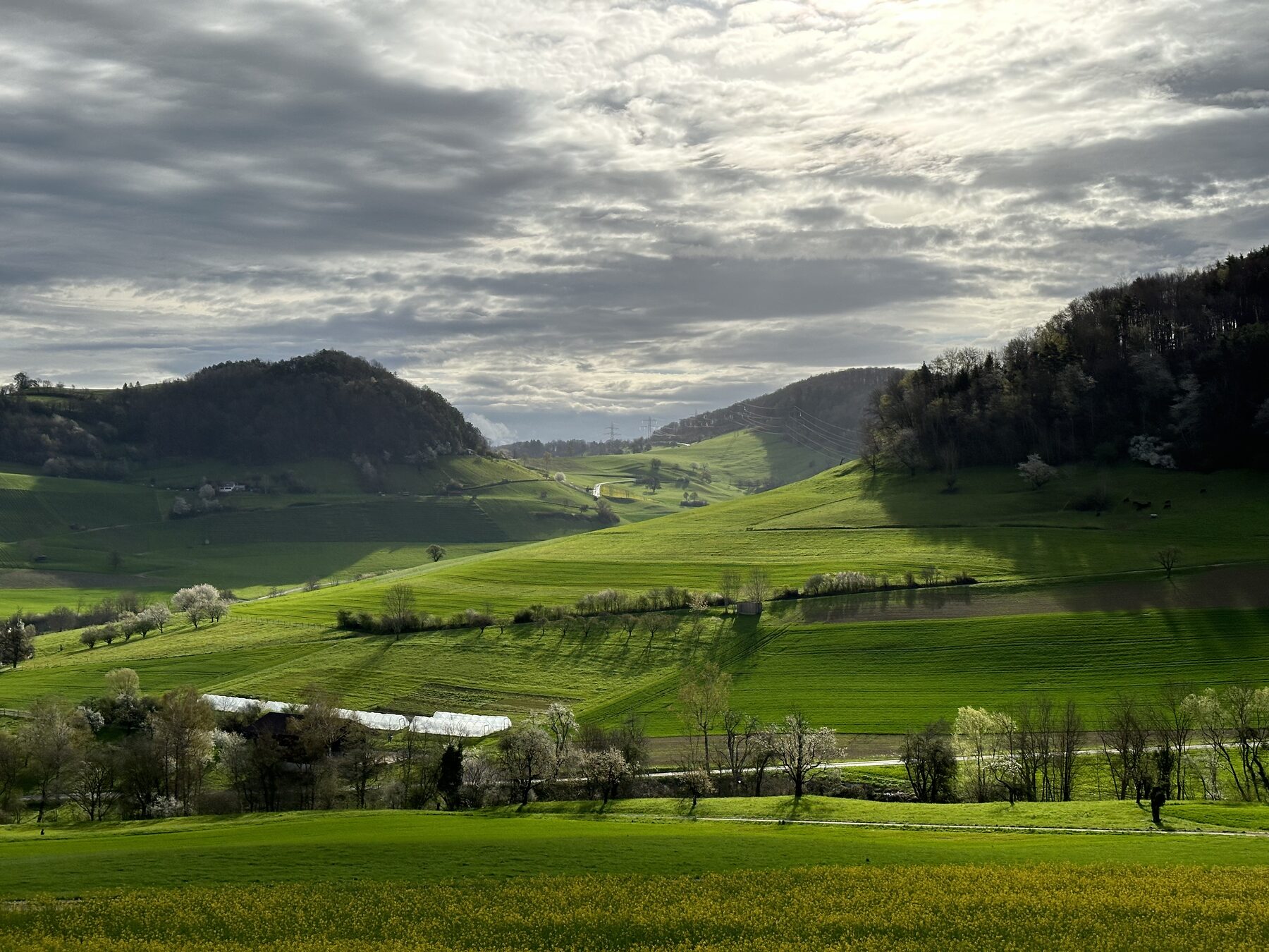 Grüne hügelige Landschaft unter einem bewölkten Himmel am Morgen mit Sonnenlicht und Schatten