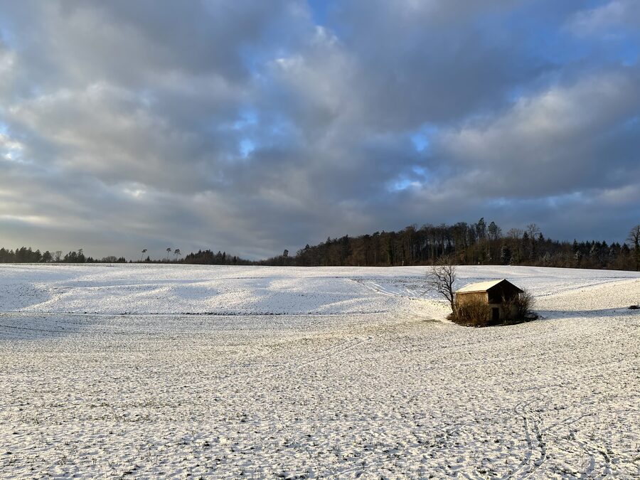 Schneebedeckte Wiesen und Bäume entlang einer Landstrasse bei Bossenhaus im Mettauertal im Winter