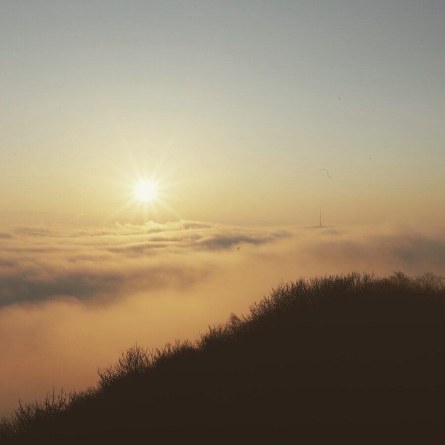 Sonnenaufgang über einer Nebeldecke mit kahlem Waldrand im Vordergrund bei Wil AG